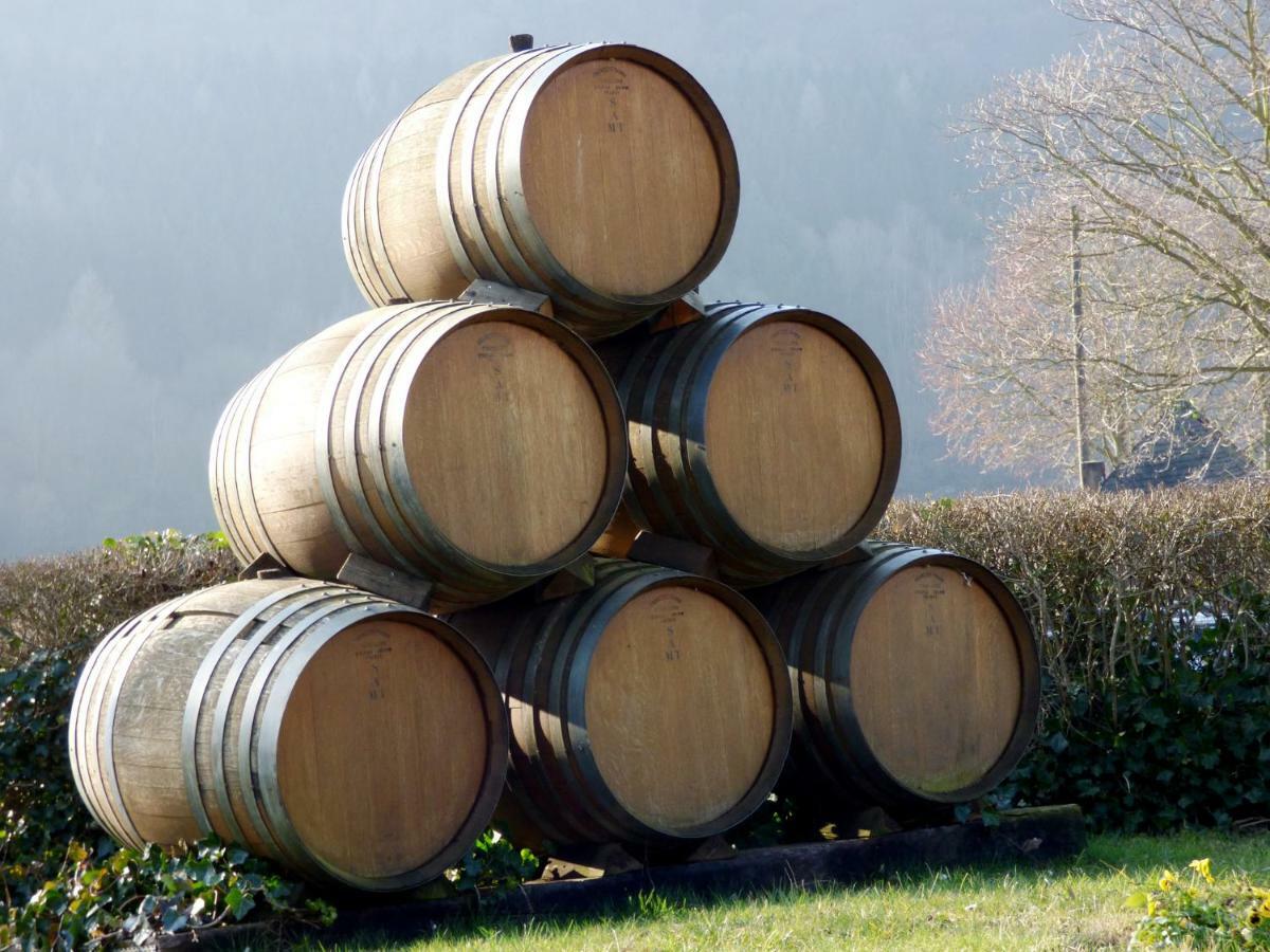 Relaxen Im Alten Winzerhaus Fewo Eg Rech Zewnętrze zdjęcie